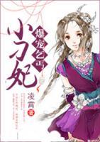 爆寵乞丐小刁妃