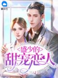 盛寵：南小姐的半糖戀人