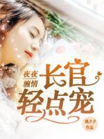 夜夜纏情:長官,輕點寵!