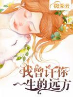 我曾許你一生的遠方