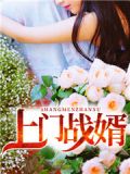 上門戰婿