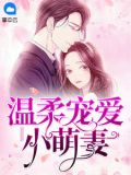 溫柔小妻甜蜜吻免費