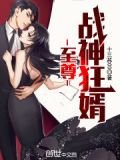至尊戰神狂婿213章