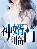 神婿臨門傻婿臨門短視頻免費播放