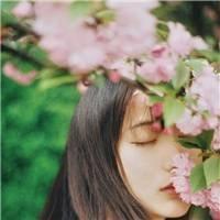 婚不設防：總裁，我們離婚