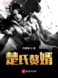 楚氏贅婿百科