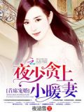 夜少貪上小暖妻下載