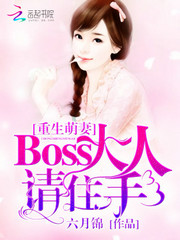 重生17歲boss大人寵葯妻