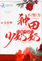 不努力種田只能當豪門少奶奶