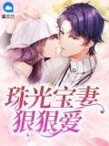 我的珠光寶妻小說