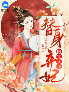 替身棄妃醫定天下蕭天睿