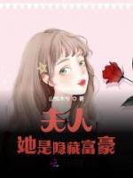 夫人是首富小說