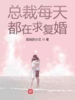 總裁每天都在求復婚