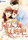 陸太太復婚吧宋如意免費閱讀