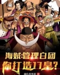 海賊：管理白團，你打造17皇？