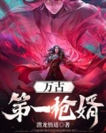 萬古第一槍婿