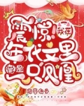 震驚！我在年代文里竟是一隻鳳凰