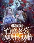小嬌妻乖！首富老公誘哄懷雙胎