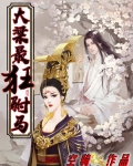 大梁最狂駙馬