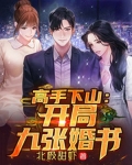 高手下山：開局九張婚書