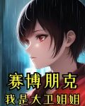 賽博朋克我是大衞父親