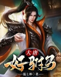 大唐好駙馬