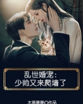 亂世婚寵：少帥又來爬牆了