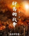財富的戰爭