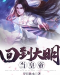 回到大明當皇帝