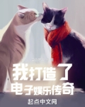 我打造了電子娛樂傳奇