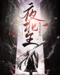 夜北王