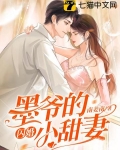 墨爺的閃婚小甜妻