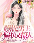 快穿之黑化男主偏執又撩人