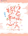 將你私藏心尖