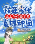 我在古代給三千位面水友直播種田