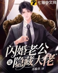 閃婚老公是隱藏大佬