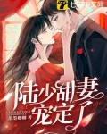 陸少甜妻寵定了