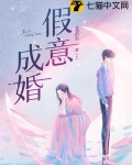 假意成婚