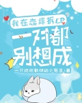 我在戀綜拆CP，一對都別想成