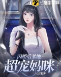 閃婚後爹地超寵媽咪