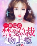 一夜驚喜：禁愛總裁吻上癮