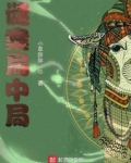 謎案局中局