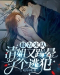 報告宋隊，清姐又腳踢暈了個逃犯