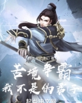 苦境爭霸：我不是偽君子