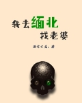 我去緬北找老婆