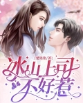 冰山上司不好惹