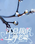女總裁的神級保鏢有多少老婆
