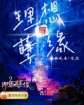 理想與孽緣