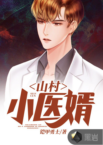 山村小醫婿