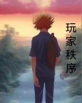 秩序側玩家小說